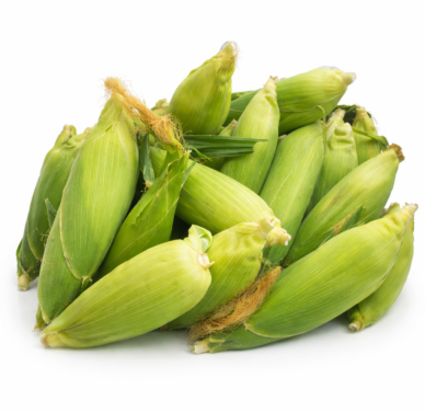Sweet Corn