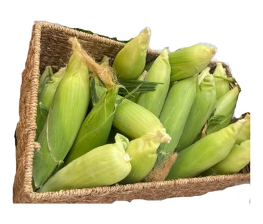 Jams Sweek Corn